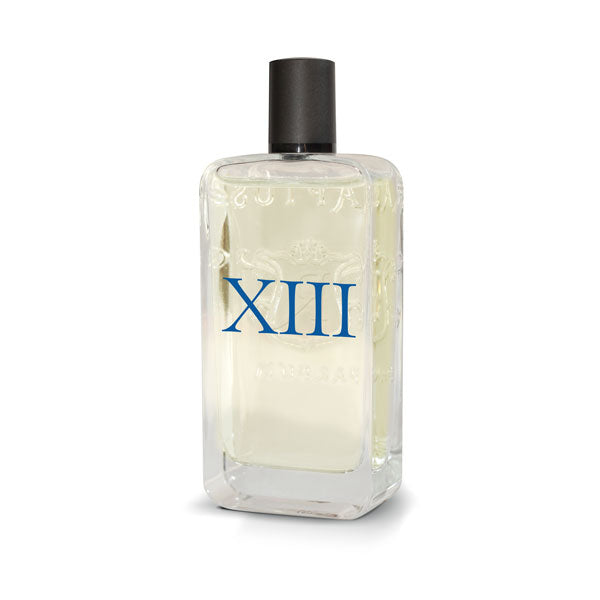 RAPTUS XIII