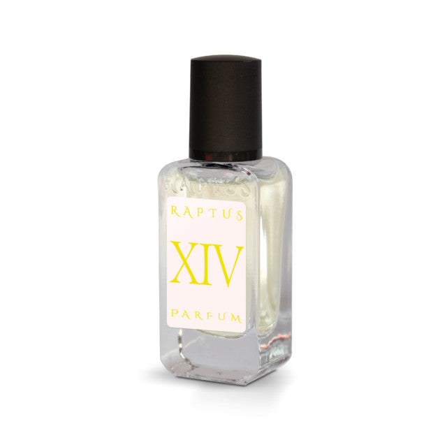 RAPTUS XIV