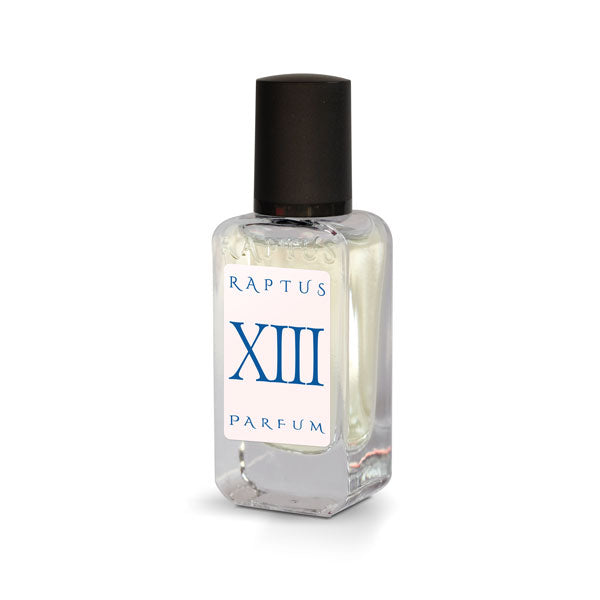 RAPTUS XIII